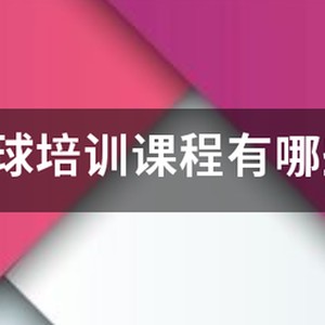 篮球训练基础课程有哪些